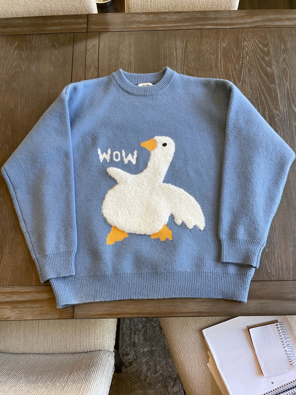 Aelfric Eden Light Blue Goose Graphic Knit Sweater